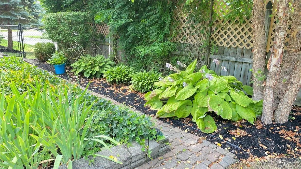 Yard