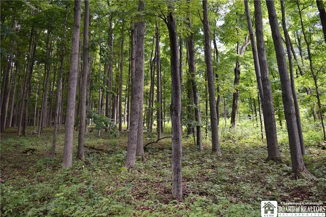 7842 Nys Route 353, New Albion, New York 14719, New Albion, New York 14719, ,Land,Closed,7842 Nys Route 353, New Albion, New York 14719,0,R1630754