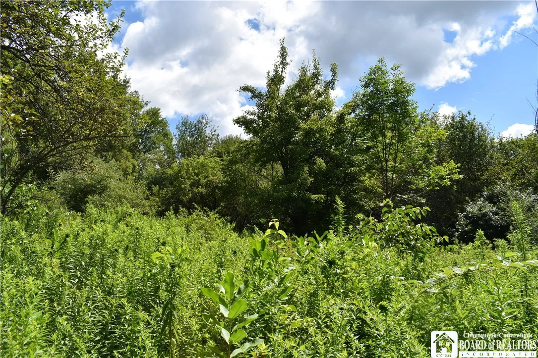 7842 Nys Route 353, New Albion, New York 14719, New Albion, New York 14719, ,Land,Closed,7842 Nys Route 353, New Albion, New York 14719,0,R1630754