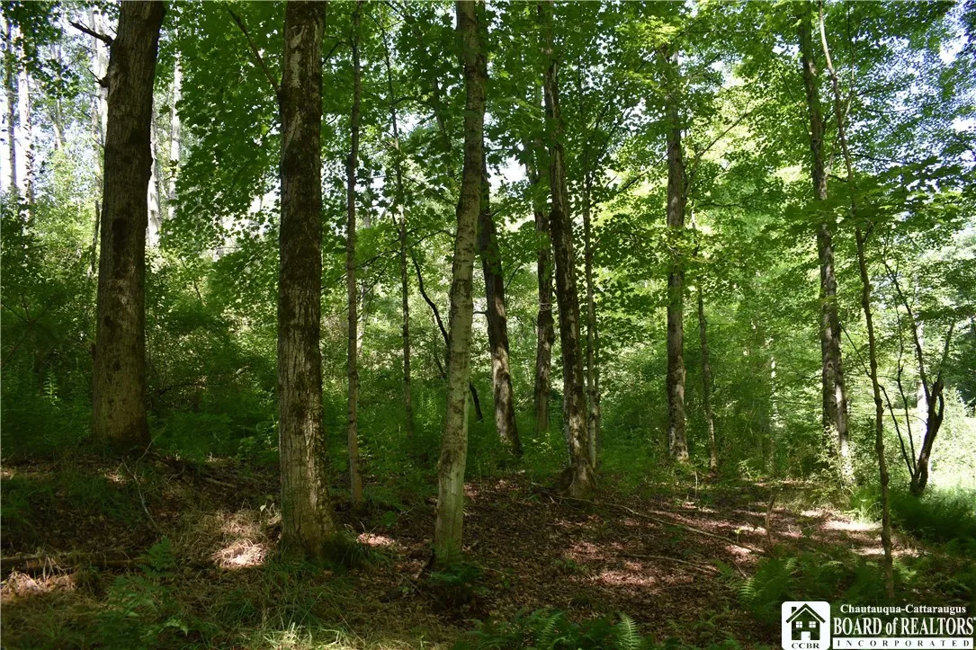 7842 Nys Route 353, New Albion, New York 14719, New Albion, New York 14719, ,Land,Closed,7842 Nys Route 353, New Albion, New York 14719,0,R1630754