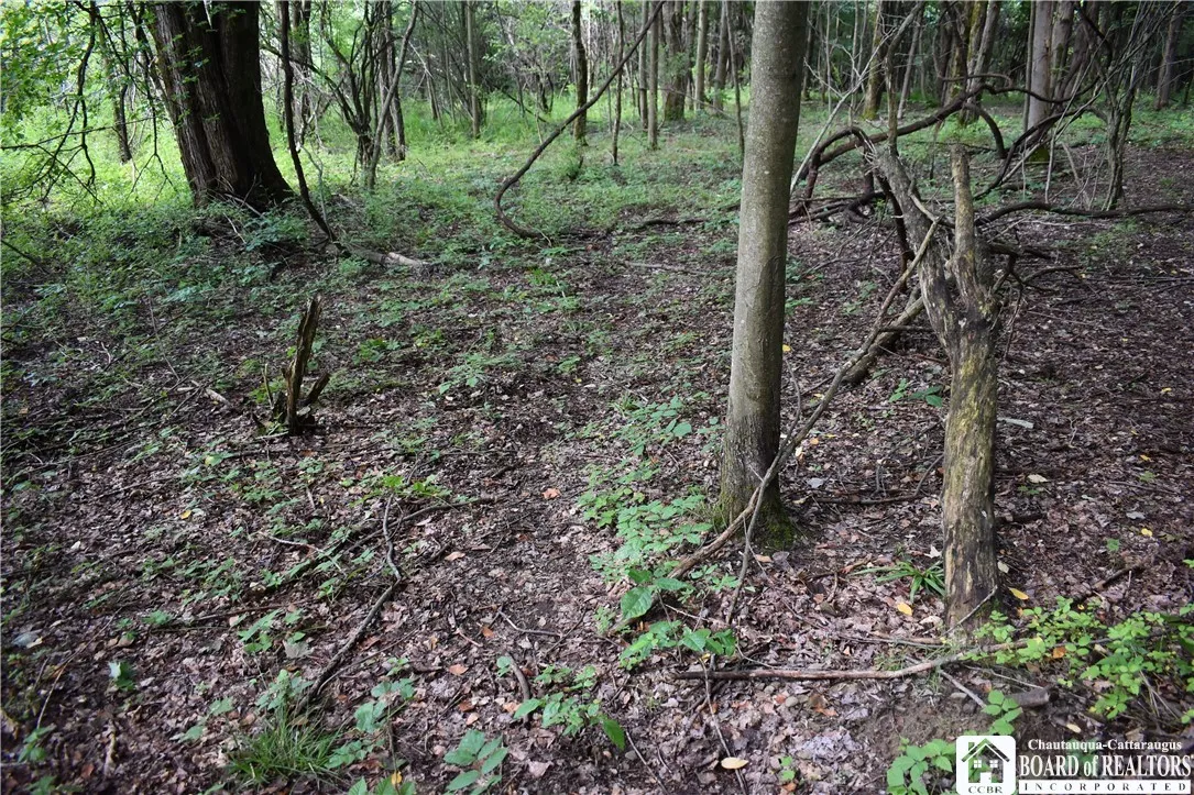 7842 Nys Route 353, New Albion, New York 14719, New Albion, New York 14719, ,Land,Closed,7842 Nys Route 353, New Albion, New York 14719,0,R1630754