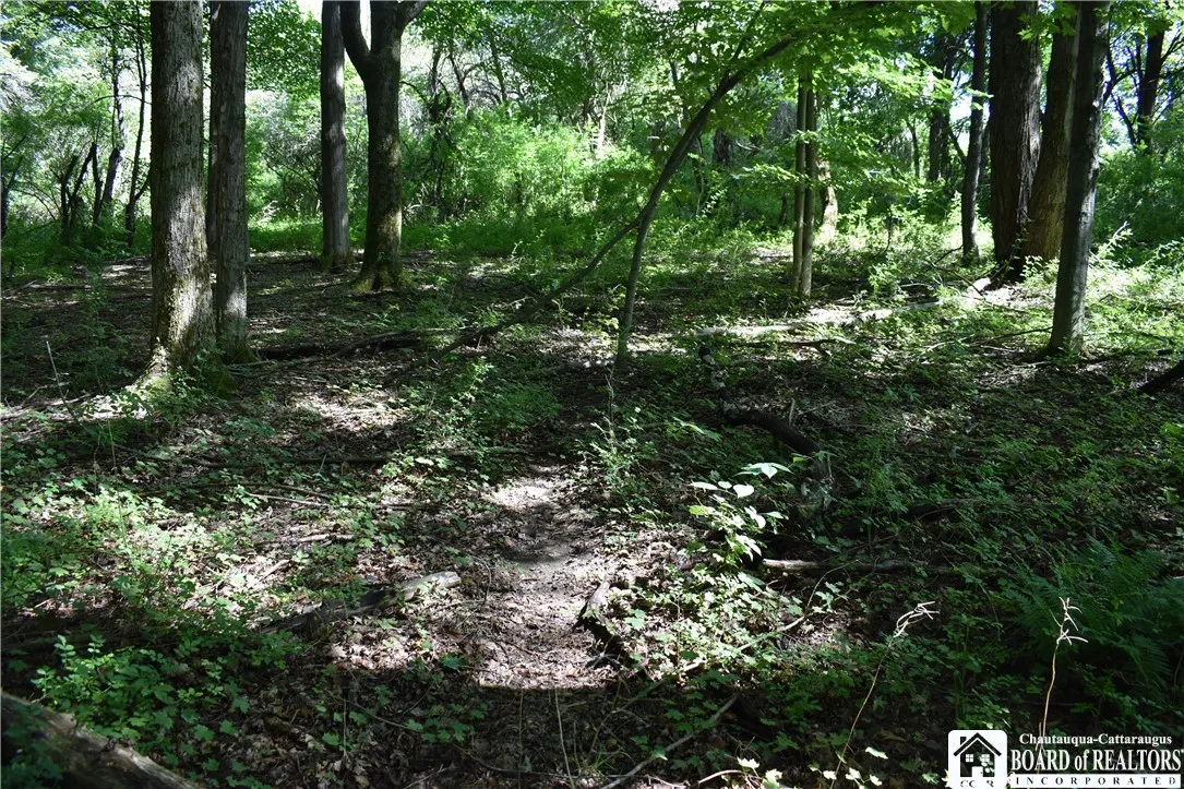 7842 Nys Route 353, New Albion, New York 14719, New Albion, New York 14719, ,Land,Closed,7842 Nys Route 353, New Albion, New York 14719,0,R1630754