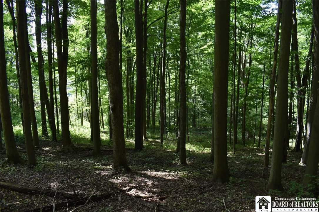 7842 Nys Route 353, New Albion, New York 14719, New Albion, New York 14719, ,Land,Closed,7842 Nys Route 353, New Albion, New York 14719,0,R1630754