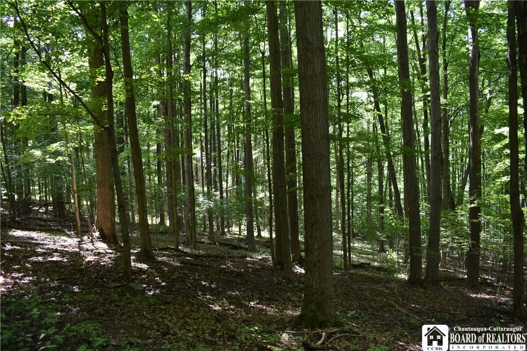 7842 Nys Route 353, New Albion, New York 14719, New Albion, New York 14719, ,Land,Closed,7842 Nys Route 353, New Albion, New York 14719,0,R1630754