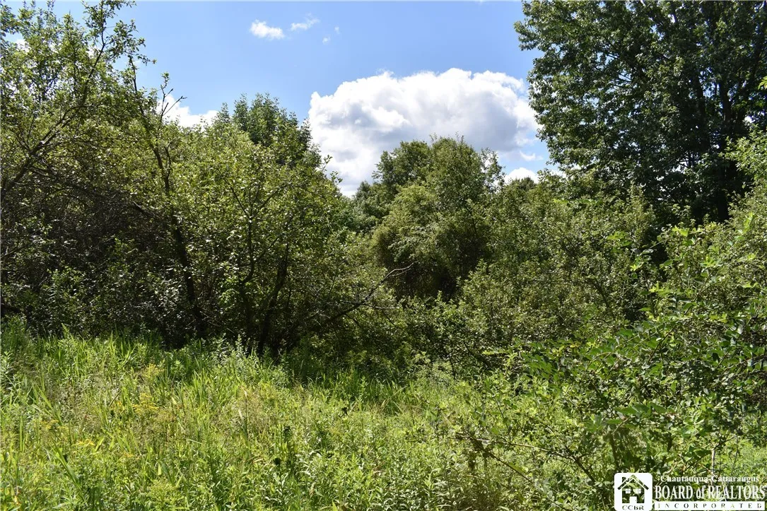 7842 Nys Route 353, New Albion, New York 14719, New Albion, New York 14719, ,Land,Closed,7842 Nys Route 353, New Albion, New York 14719,0,R1630754