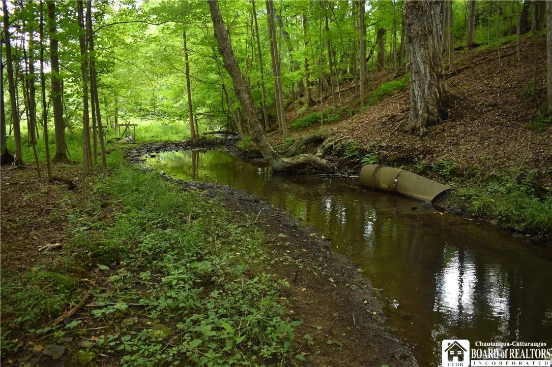 7842 Nys Route 353, New Albion, New York 14719, New Albion, New York 14719, ,Land,Closed,7842 Nys Route 353, New Albion, New York 14719,0,R1630754