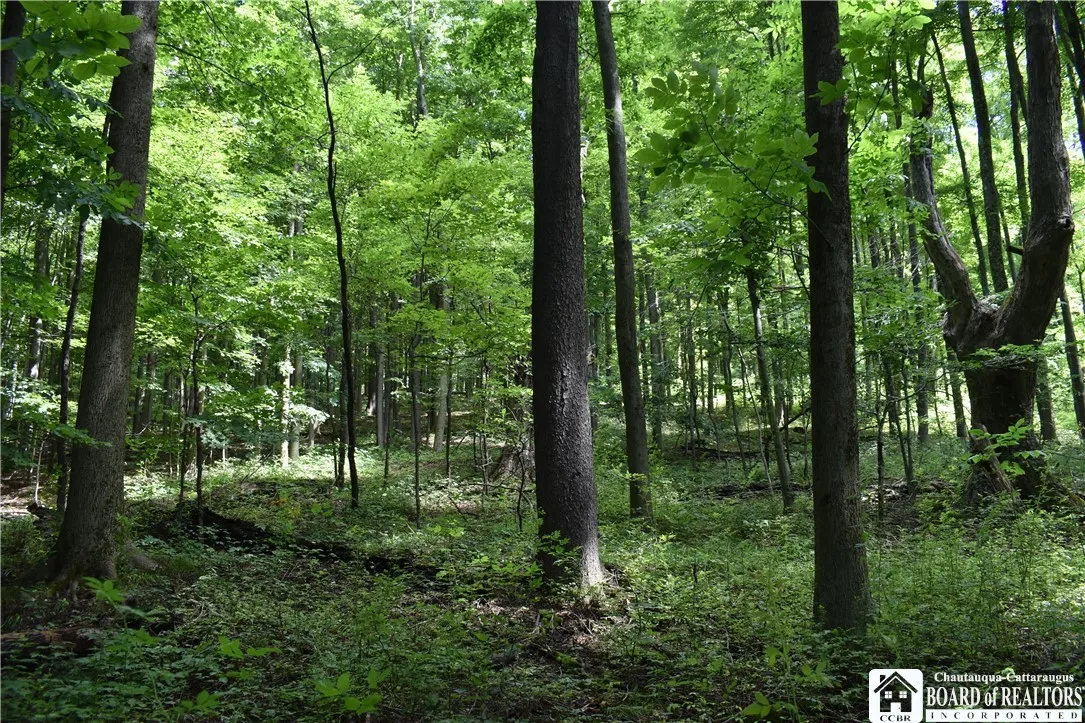 7842 Nys Route 353, New Albion, New York 14719, New Albion, New York 14719, ,Land,Closed,7842 Nys Route 353, New Albion, New York 14719,0,R1630754