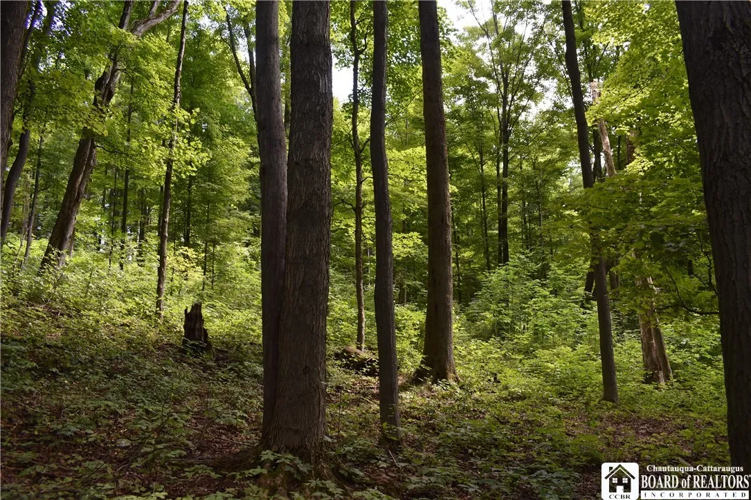 7842 Nys Route 353, New Albion, New York 14719, New Albion, New York 14719, ,Land,Closed,7842 Nys Route 353, New Albion, New York 14719,0,R1630754