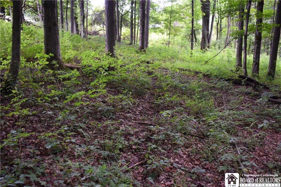 7842 Nys Route 353, New Albion, New York 14719, New Albion, New York 14719, ,Land,Closed,7842 Nys Route 353, New Albion, New York 14719,0,R1630754