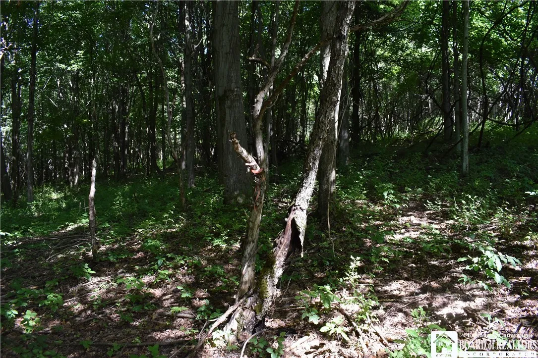 7842 Nys Route 353, New Albion, New York 14719, New Albion, New York 14719, ,Land,Closed,7842 Nys Route 353, New Albion, New York 14719,0,R1630754