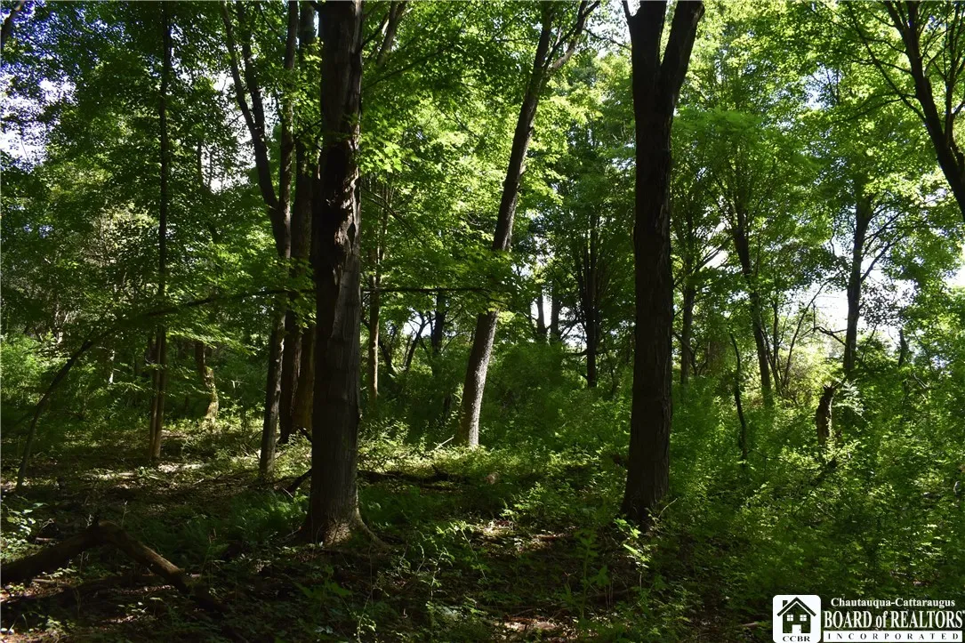 7842 Nys Route 353, New Albion, New York 14719, New Albion, New York 14719, ,Land,Closed,7842 Nys Route 353, New Albion, New York 14719,0,R1630754