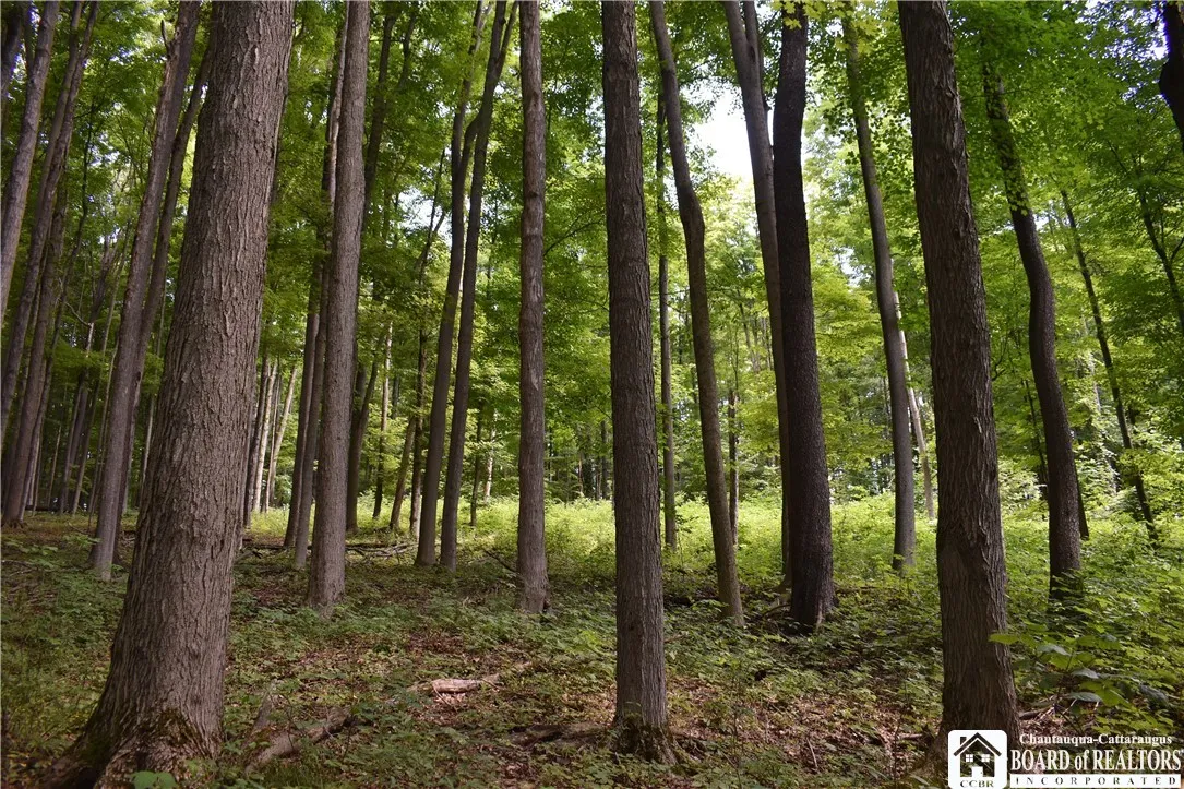 7842 Nys Route 353, New Albion, New York 14719, New Albion, New York 14719, ,Land,Closed,7842 Nys Route 353, New Albion, New York 14719,0,R1630754