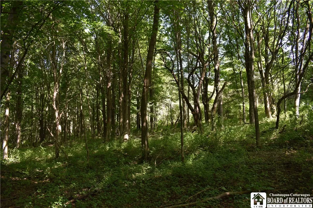 7842 Nys Route 353, New Albion, New York 14719, New Albion, New York 14719, ,Land,Closed,7842 Nys Route 353, New Albion, New York 14719,0,R1630754