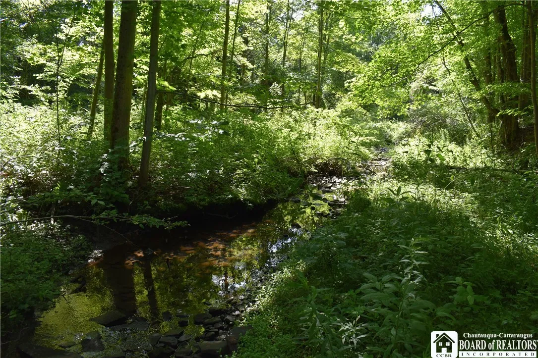 7842 Nys Route 353, New Albion, New York 14719, New Albion, New York 14719, ,Land,Closed,7842 Nys Route 353, New Albion, New York 14719,0,R1630754