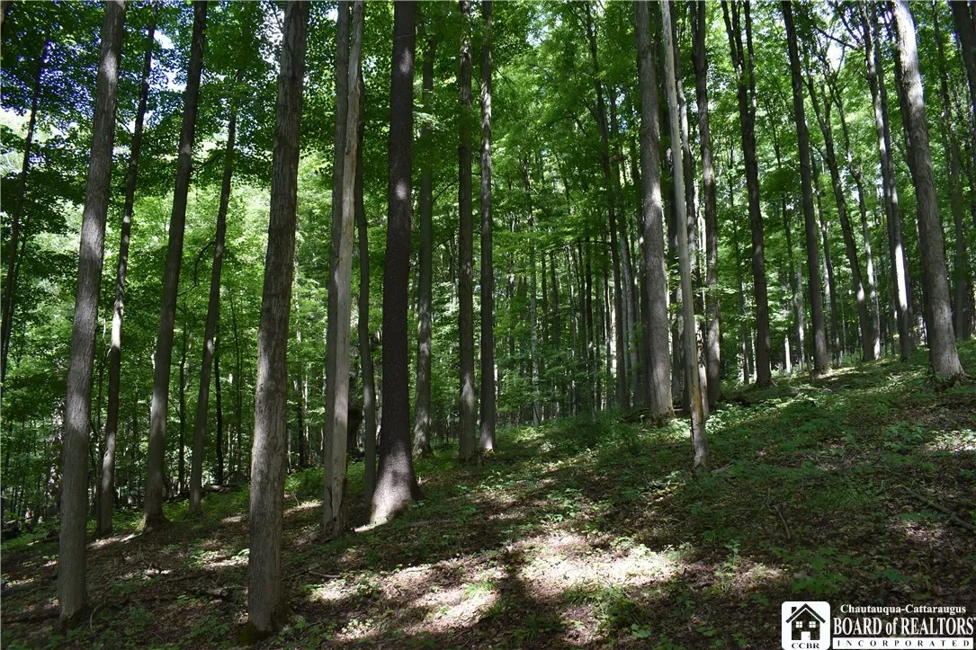 7842 Nys Route 353, New Albion, New York 14719, New Albion, New York 14719, ,Land,Closed,7842 Nys Route 353, New Albion, New York 14719,0,R1630754