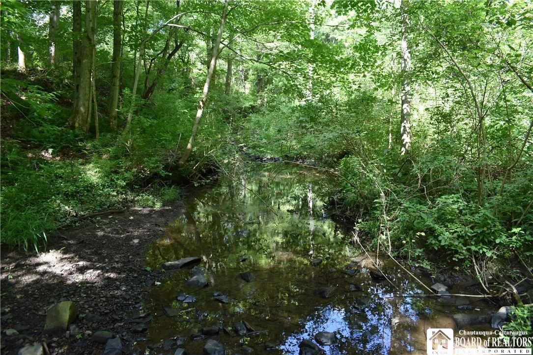 7842 Nys Route 353, New Albion, New York 14719, New Albion, New York 14719, ,Land,Closed,7842 Nys Route 353, New Albion, New York 14719,0,R1630754