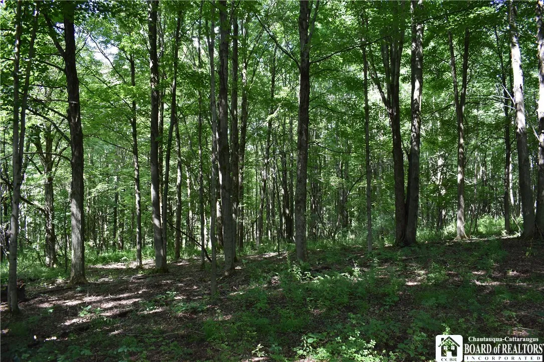 7842 Nys Route 353, New Albion, New York 14719, New Albion, New York 14719, ,Land,Closed,7842 Nys Route 353, New Albion, New York 14719,0,R1630754