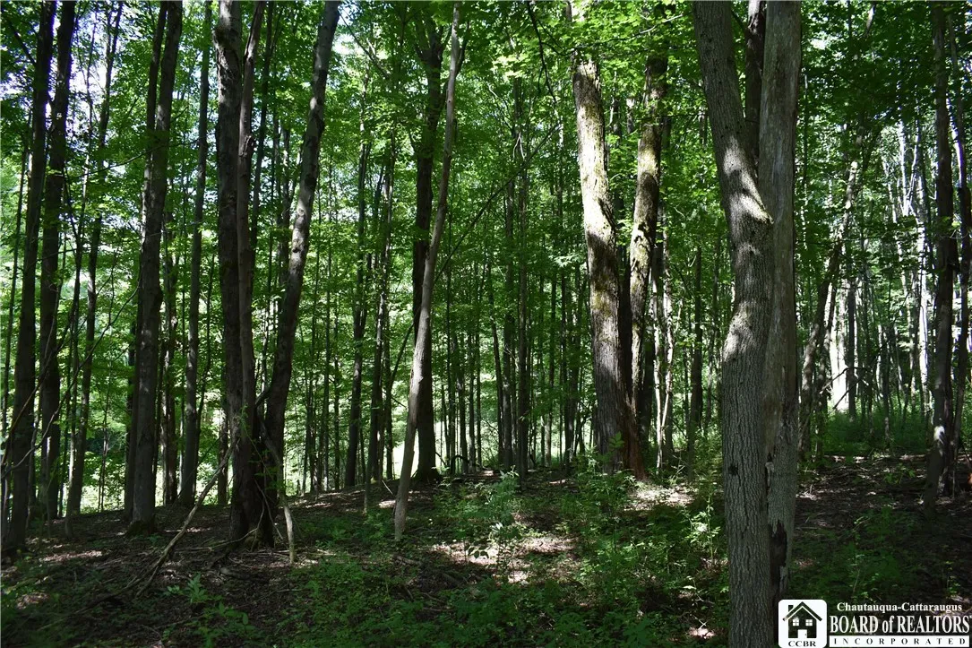 7842 Nys Route 353, New Albion, New York 14719, New Albion, New York 14719, ,Land,Closed,7842 Nys Route 353, New Albion, New York 14719,0,R1630754