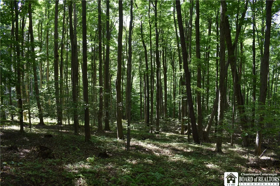 7842 Nys Route 353, New Albion, New York 14719, New Albion, New York 14719, ,Land,Closed,7842 Nys Route 353, New Albion, New York 14719,0,R1630754