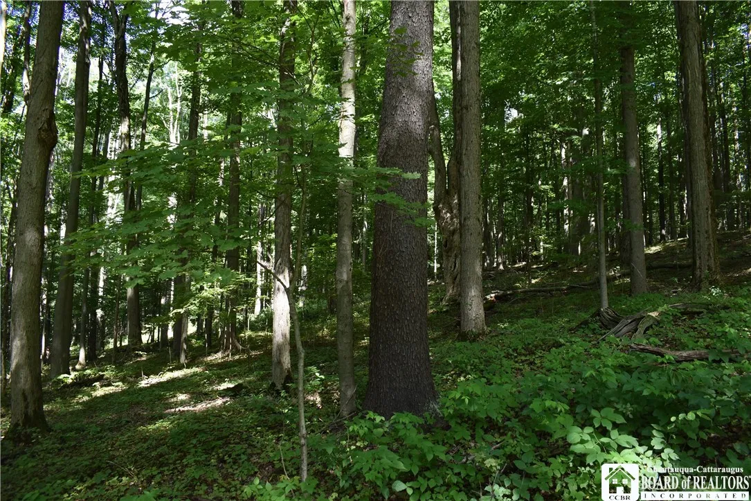 7842 Nys Route 353, New Albion, New York 14719, New Albion, New York 14719, ,Land,Closed,7842 Nys Route 353, New Albion, New York 14719,0,R1630754