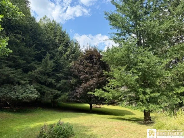 16 Goss Avenue, Portville, New York 14770, Portville, New York 14770, 3 Bedrooms Bedrooms, 7 Rooms Rooms,1 BathroomBathrooms,Residential,Closed,16 Goss Avenue, Portville, New York 14770,0,R1630861