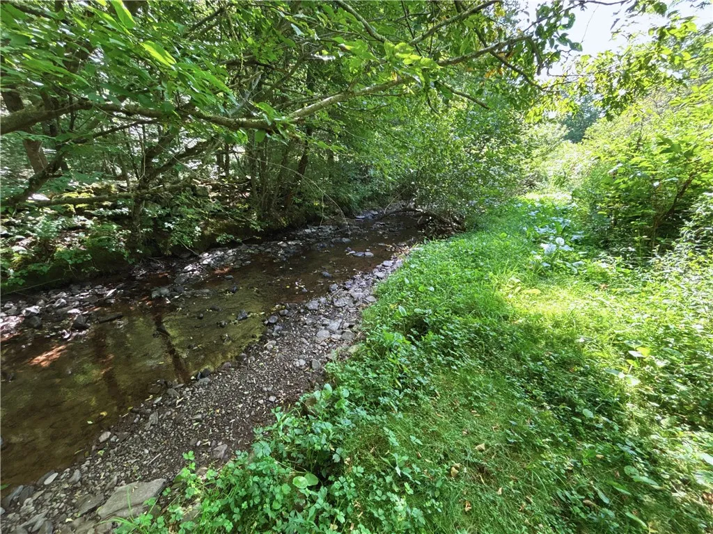 2332 Houghtaling Hollow Road, Meredith, New York 1, Meredith, New York 13757, 3 Bedrooms Bedrooms, 8 Rooms Rooms,2 BathroomsBathrooms,Residential,For Sale,2332 Houghtaling Hollow Road, Meredith, New York 1,0,R1630805