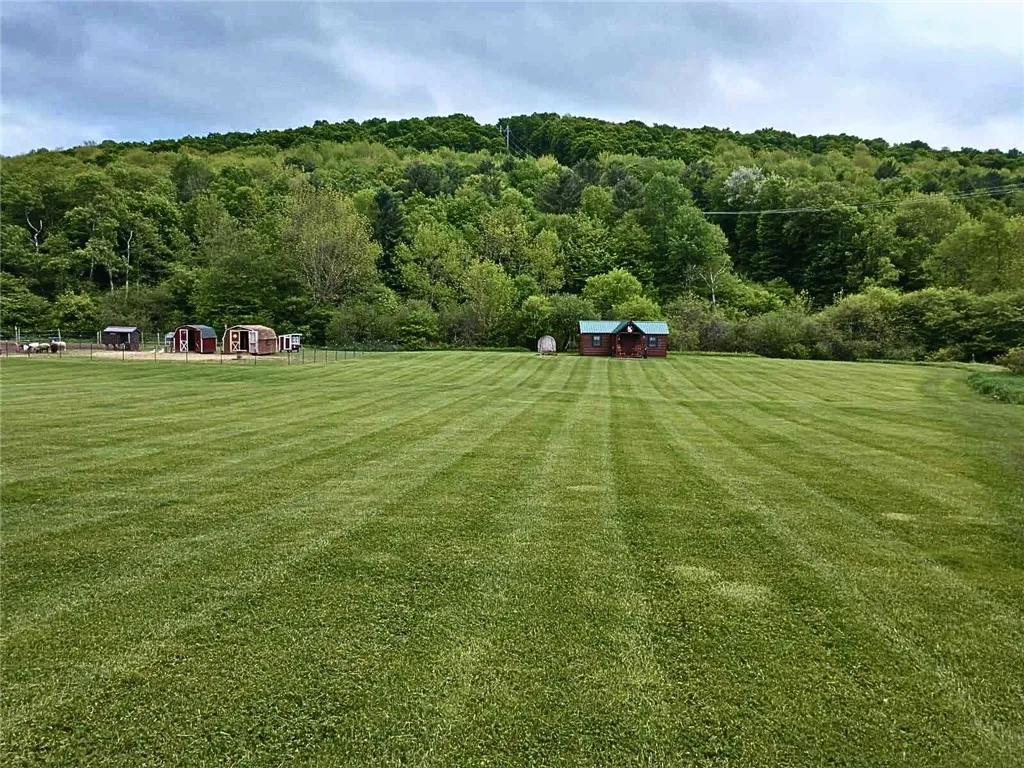 2332 Houghtaling Hollow Road, Meredith, New York 1, Meredith, New York 13757, 3 Bedrooms Bedrooms, 8 Rooms Rooms,2 BathroomsBathrooms,Residential,For Sale,2332 Houghtaling Hollow Road, Meredith, New York 1,0,R1630805