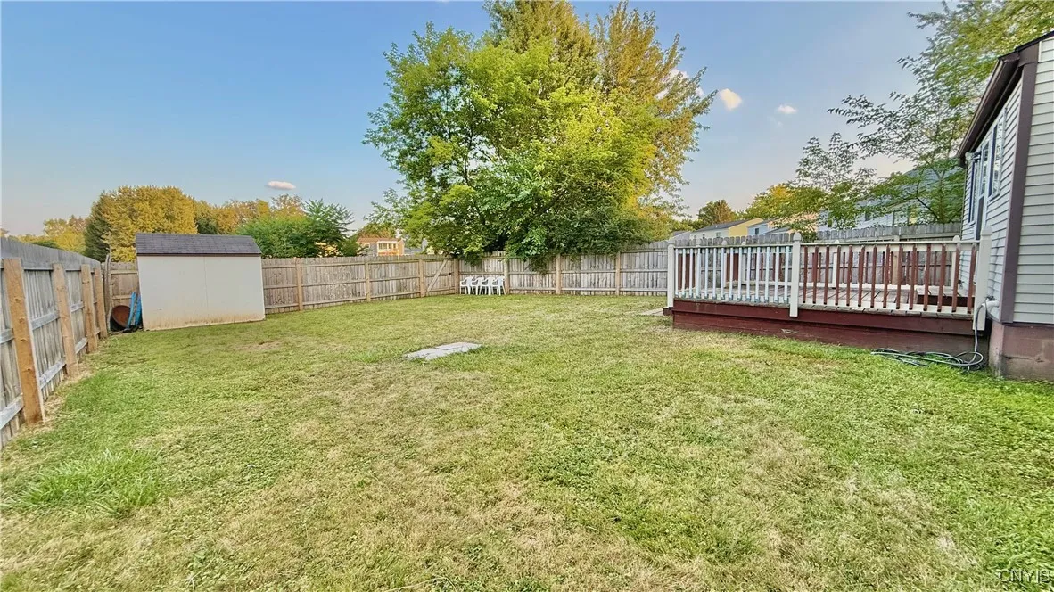 Backyard - fence is almost new