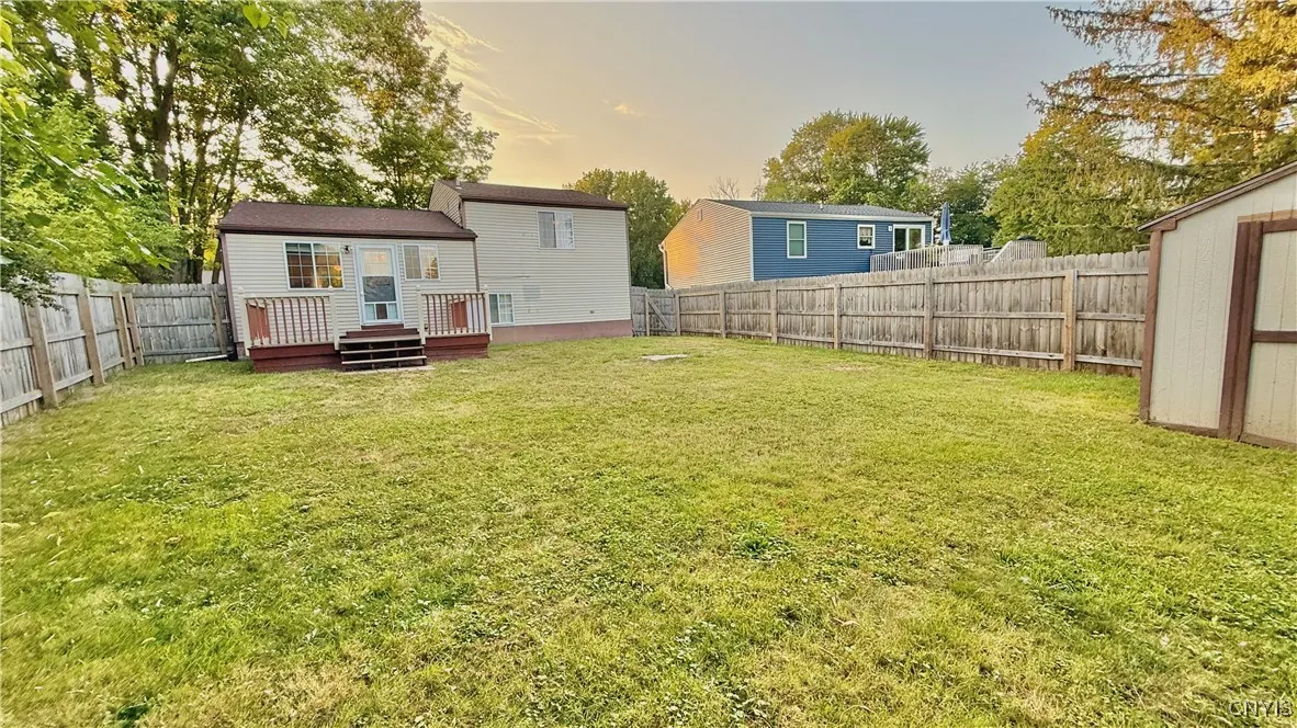 Backyard - fence is almost new