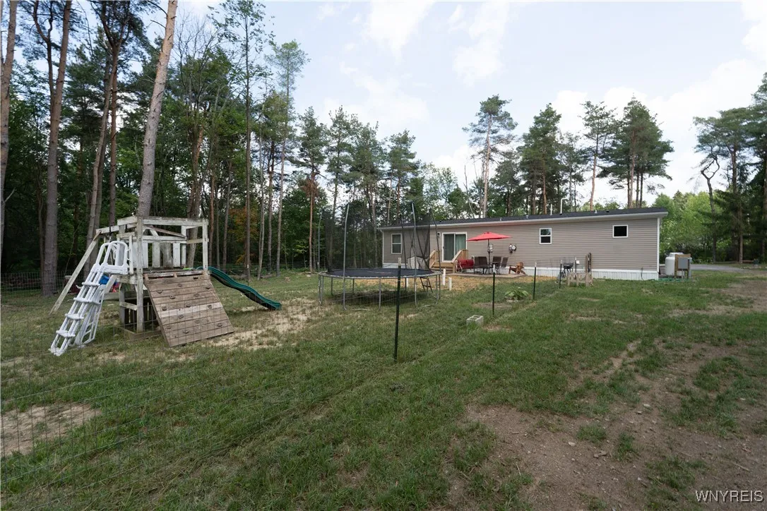 Back yard