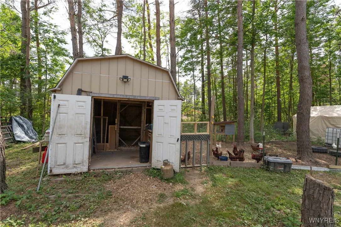 Shed-Chicken coop