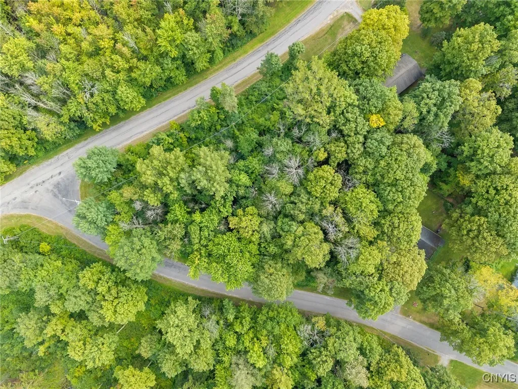Saulsbury Road, Preble, New York 13141, Preble, New York 13141, ,Land,Closed,Saulsbury Road, Preble, New York 13141,0,S1630907