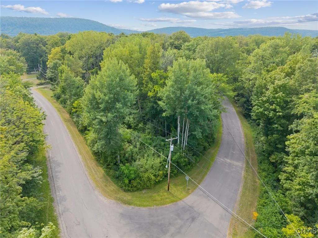 Saulsbury Road, Preble, New York 13141, Preble, New York 13141, ,Land,Closed,Saulsbury Road, Preble, New York 13141,0,S1630907