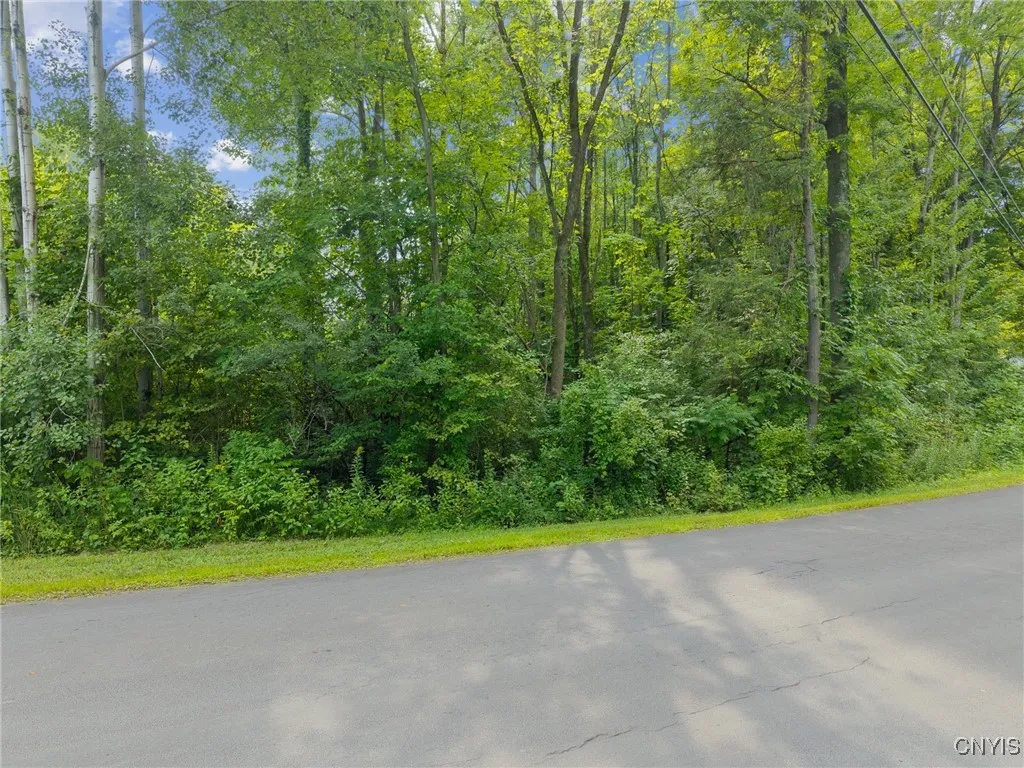 Saulsbury Road, Preble, New York 13141, Preble, New York 13141, ,Land,Closed,Saulsbury Road, Preble, New York 13141,0,S1630907