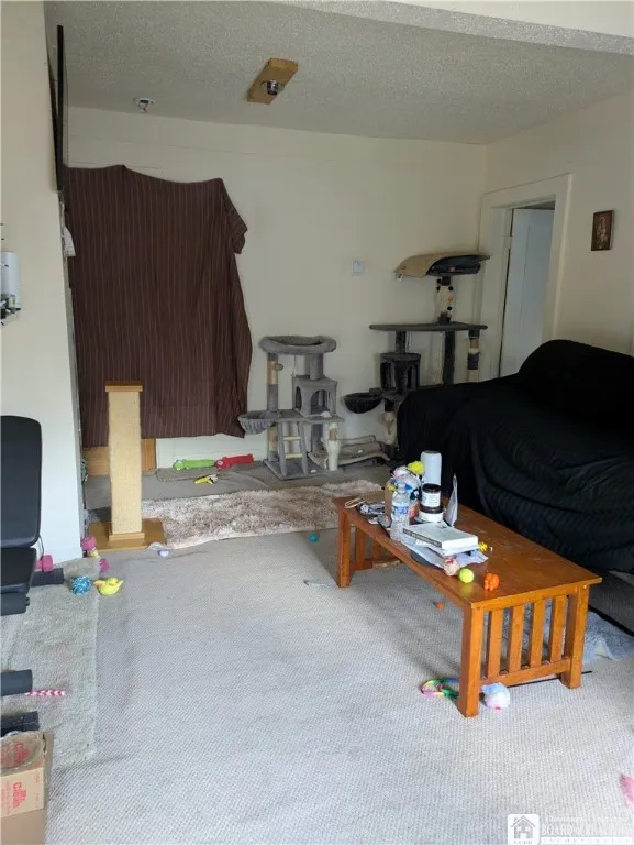 415 Oliver Street, North Tonawanda, New York 14120, North Tonawanda, New York 14120, 6 Bedrooms Bedrooms, ,3 BathroomsBathrooms,Residential,For Sale,415 Oliver Street, North Tonawanda, New York 14120,R1628869