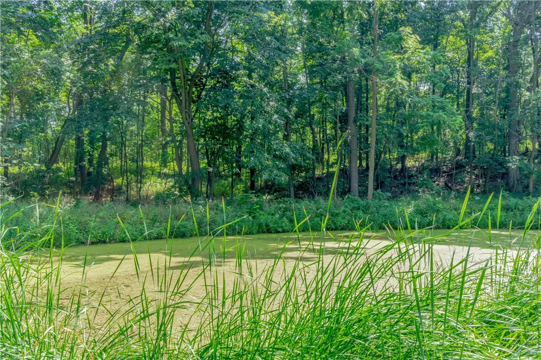 5182 Hunt Hill Road, Groveland, New York 14454, Groveland, New York 14454, 4 Bedrooms Bedrooms, 7 Rooms Rooms,1 BathroomBathrooms,Residential,Closed,5182 Hunt Hill Road, Groveland, New York 14454,0,R1631312