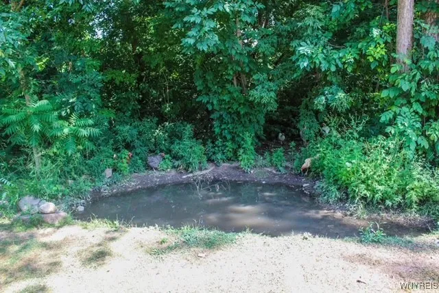 4330 Bolton Road, Royalton, New York 14067, Royalton, New York 14067, 3 Bedrooms Bedrooms, 8 Rooms Rooms,1 BathroomBathrooms,Residential,Closed,4330 Bolton Road, Royalton, New York 14067,0,B1630359