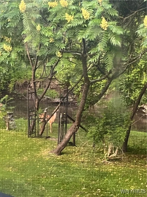 7787 East Flats Road, East Otto, New York 14729, East Otto, New York 14729, 2 Bedrooms Bedrooms, 7 Rooms Rooms,1 BathroomBathrooms,Residential,Closed,7787 East Flats Road, East Otto, New York 14729,0,B1630827