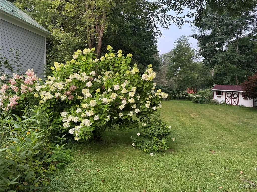 34 University Avenue, Hamilton, New York 13346, Hamilton, New York 13346, 4 Bedrooms Bedrooms, 8 Rooms Rooms,2 BathroomsBathrooms,Residential,For Sale,34 University Avenue, Hamilton, New York 13346,0,S1618683