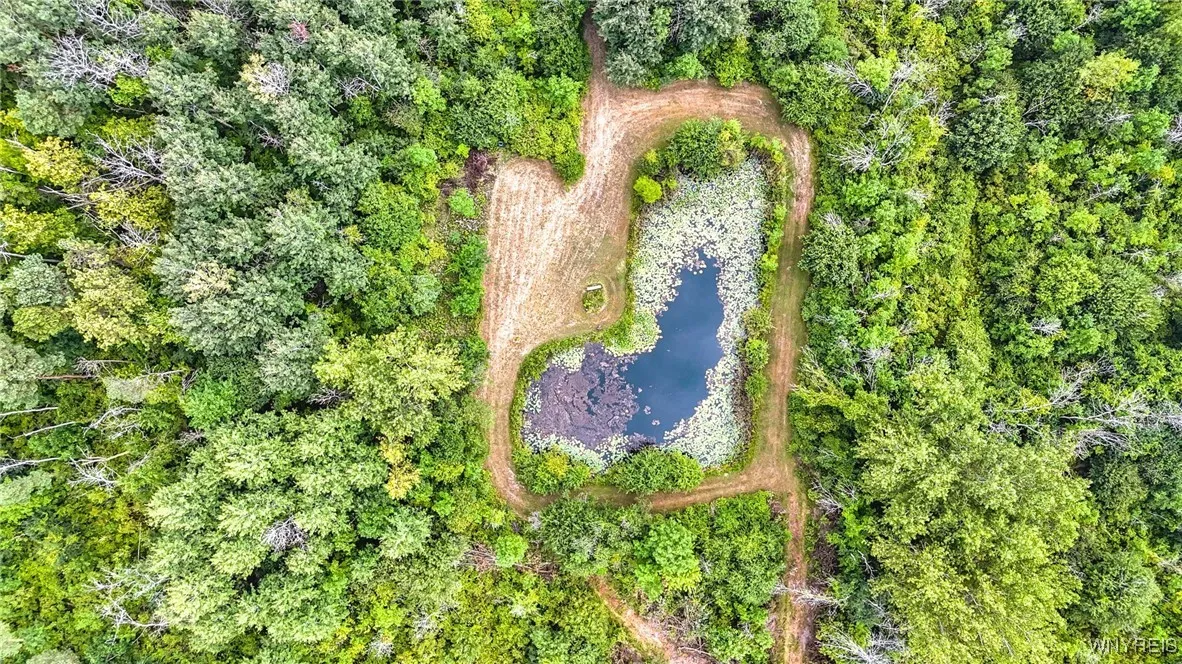 7570 Cedar Street, Newstead, New York 14001, Newstead, New York 14001, 3 Bedrooms Bedrooms, 6 Rooms Rooms,2 BathroomsBathrooms,Residential,Closed,7570 Cedar Street, Newstead, New York 14001,0,B1618495