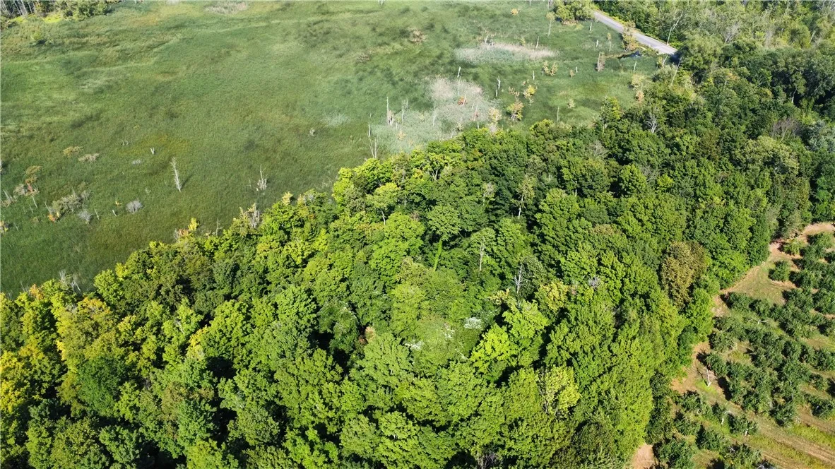 South Centenary Road, Sodus, New York 14551, Sodus, New York 14551, ,Land,For Sale,South Centenary Road, Sodus, New York 14551,0,R1630075