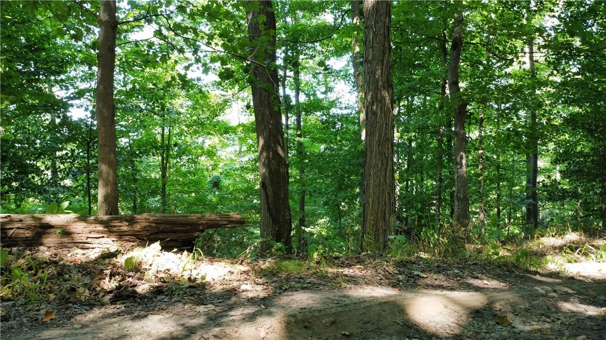 South Centenary Road, Sodus, New York 14551, Sodus, New York 14551, ,Land,For Sale,South Centenary Road, Sodus, New York 14551,0,R1630075