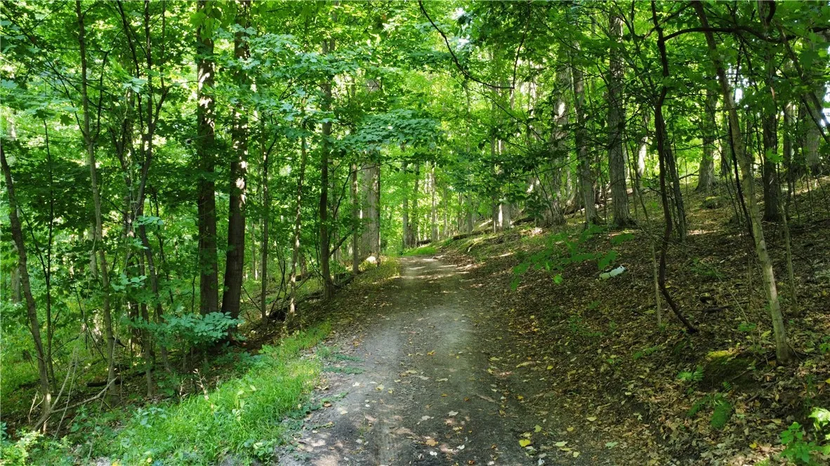 South Centenary Road, Sodus, New York 14551, Sodus, New York 14551, ,Land,For Sale,South Centenary Road, Sodus, New York 14551,0,R1630075