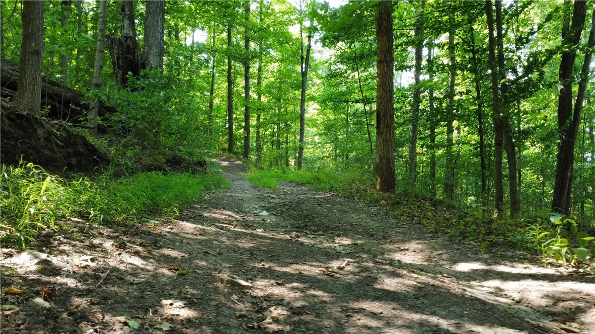 South Centenary Road, Sodus, New York 14551, Sodus, New York 14551, ,Land,For Sale,South Centenary Road, Sodus, New York 14551,0,R1630075