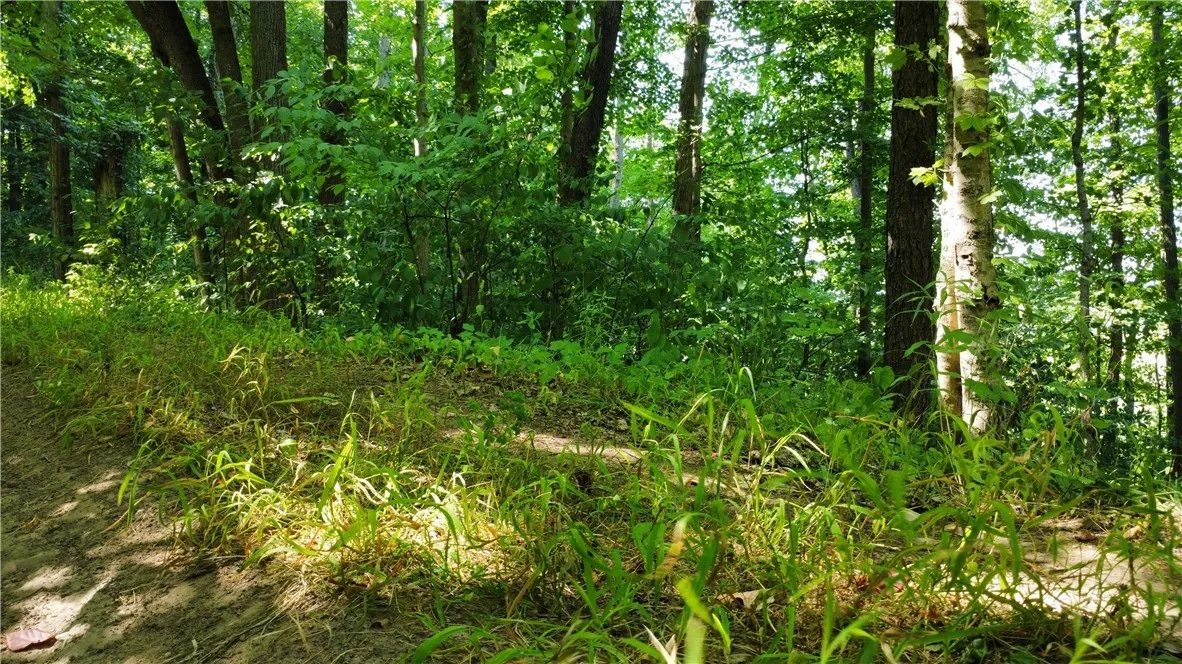 South Centenary Road, Sodus, New York 14551, Sodus, New York 14551, ,Land,For Sale,South Centenary Road, Sodus, New York 14551,0,R1630075
