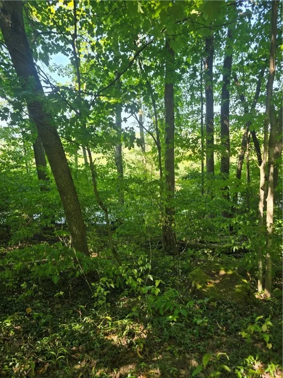 South Centenary Road, Sodus, New York 14551, Sodus, New York 14551, ,Land,For Sale,South Centenary Road, Sodus, New York 14551,0,R1630075