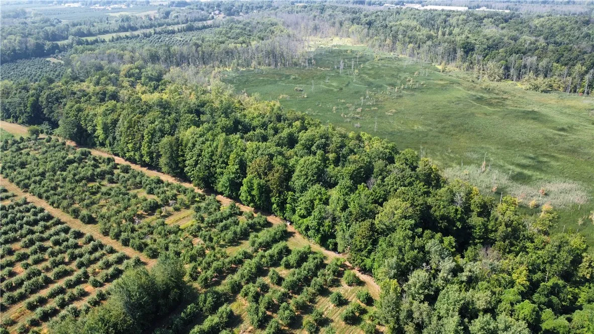 South Centenary Road, Sodus, New York 14551, Sodus, New York 14551, ,Land,For Sale,South Centenary Road, Sodus, New York 14551,0,R1630075