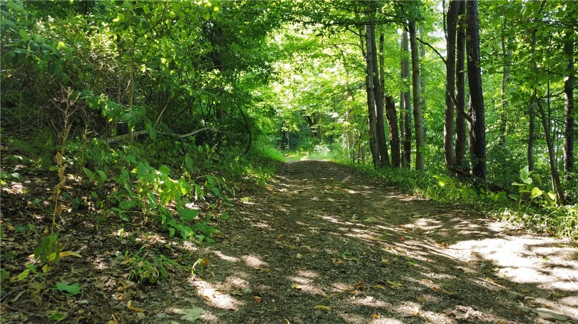 South Centenary Road, Sodus, New York 14551, Sodus, New York 14551, ,Land,For Sale,South Centenary Road, Sodus, New York 14551,0,R1630075