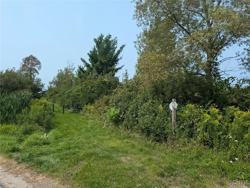 0 Black Creek Road, Clayton, New York 13624, Clayton, New York 13624, ,Land,For Sale,0 Black Creek Road, Clayton, New York 13624,0,S1631535