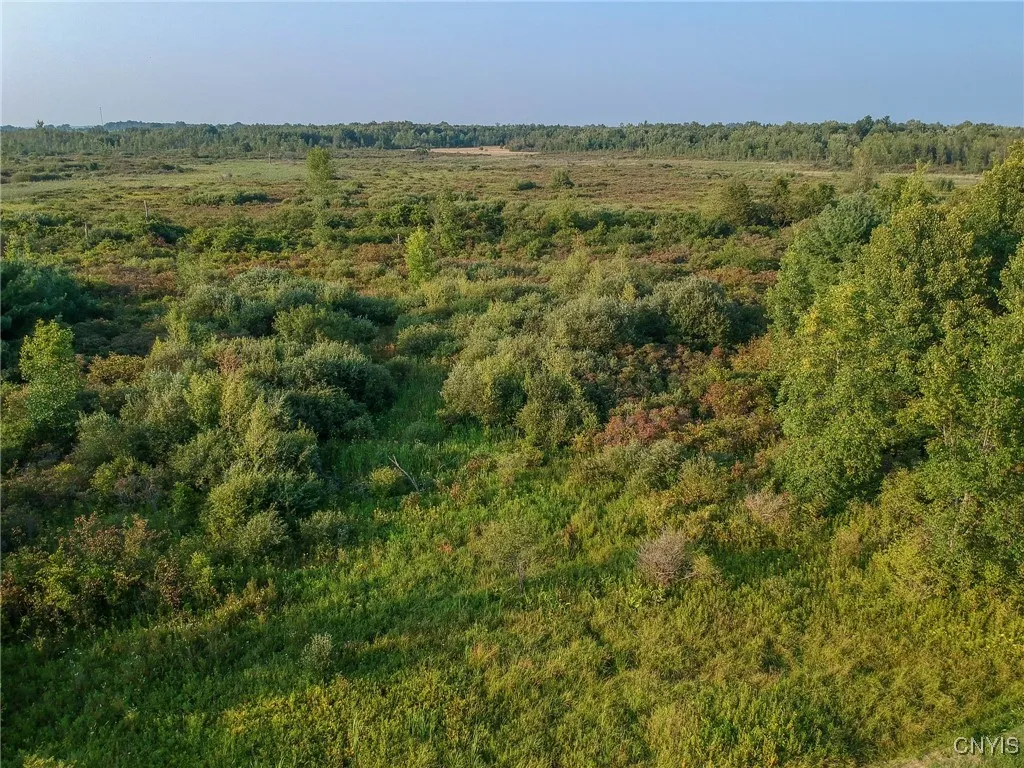 0 Black Creek Road, Clayton, New York 13624, Clayton, New York 13624, ,Land,For Sale,0 Black Creek Road, Clayton, New York 13624,0,S1631535